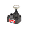 SRG、SRCG、SRT、SRCT Throttle And Check Valves